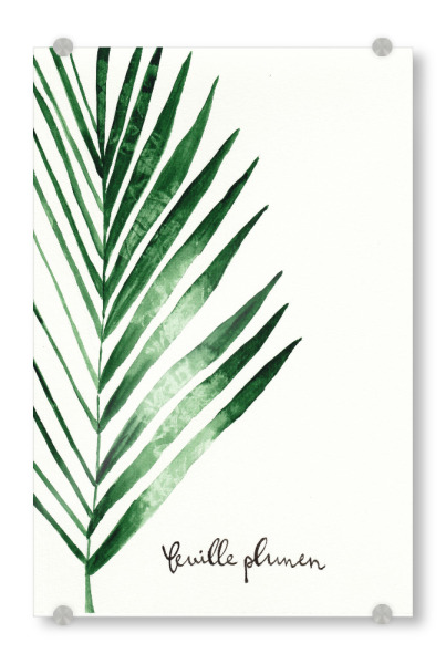 Acrylglasbild "Feuille de palmier - Palmwedel" artboxONE - Natur,Floral