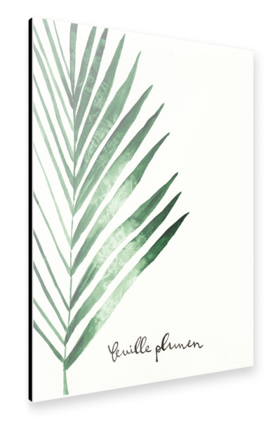 Alu-Dibond "Feuille de palmier - Palmwedel" 30x20 cm artboxONE