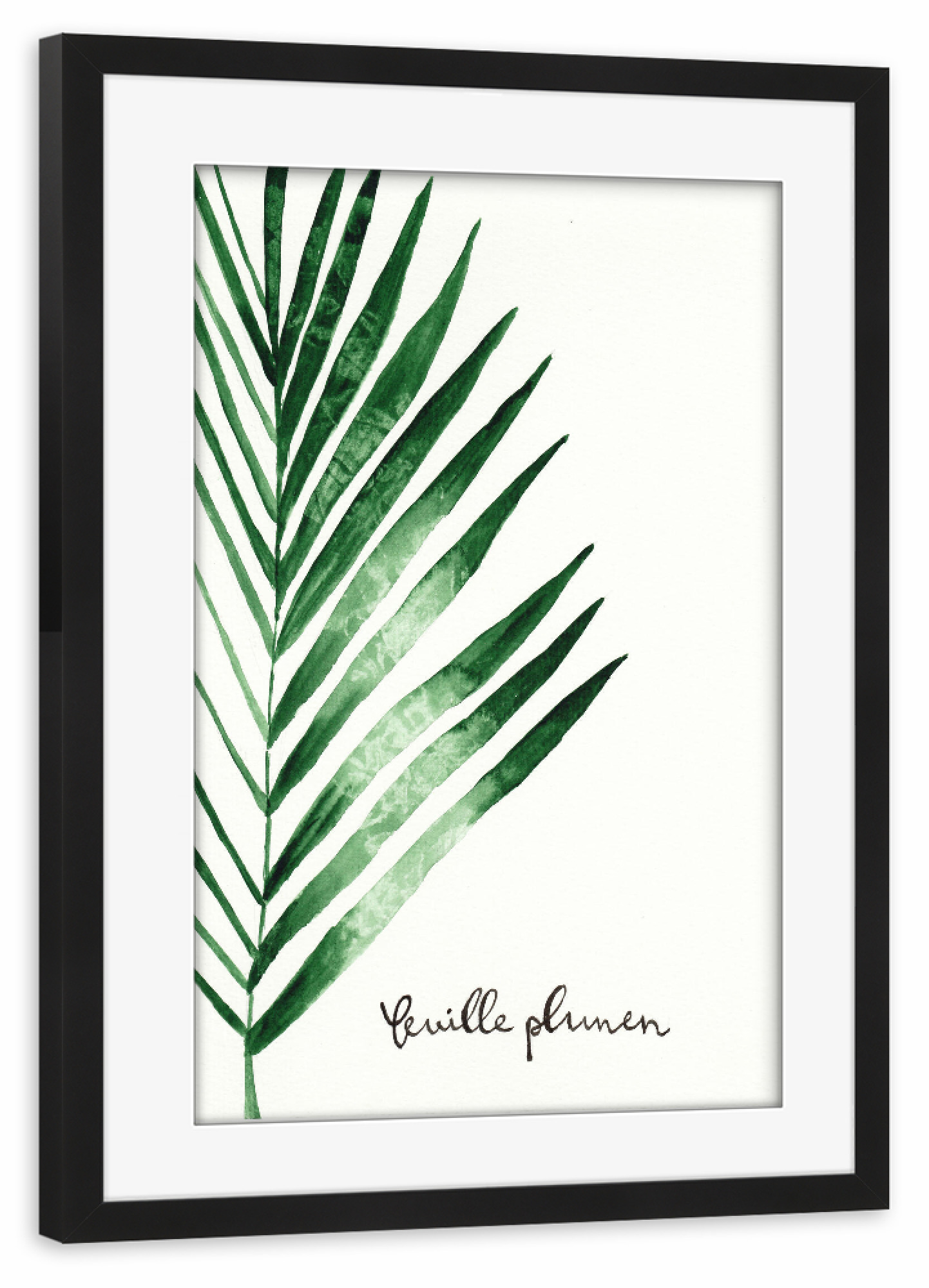 Poster mit Rahmen schwarz "Feuille de palmier - Palmwedel" artboxONE - Natur,Floral