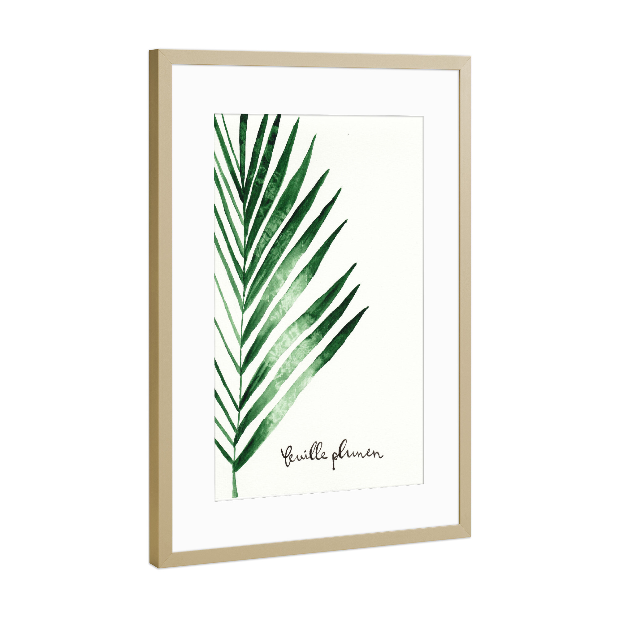 Poster mit Rahmen Gold "Feuille de palmier - Palmwedel" artboxONE - Natur,Floral