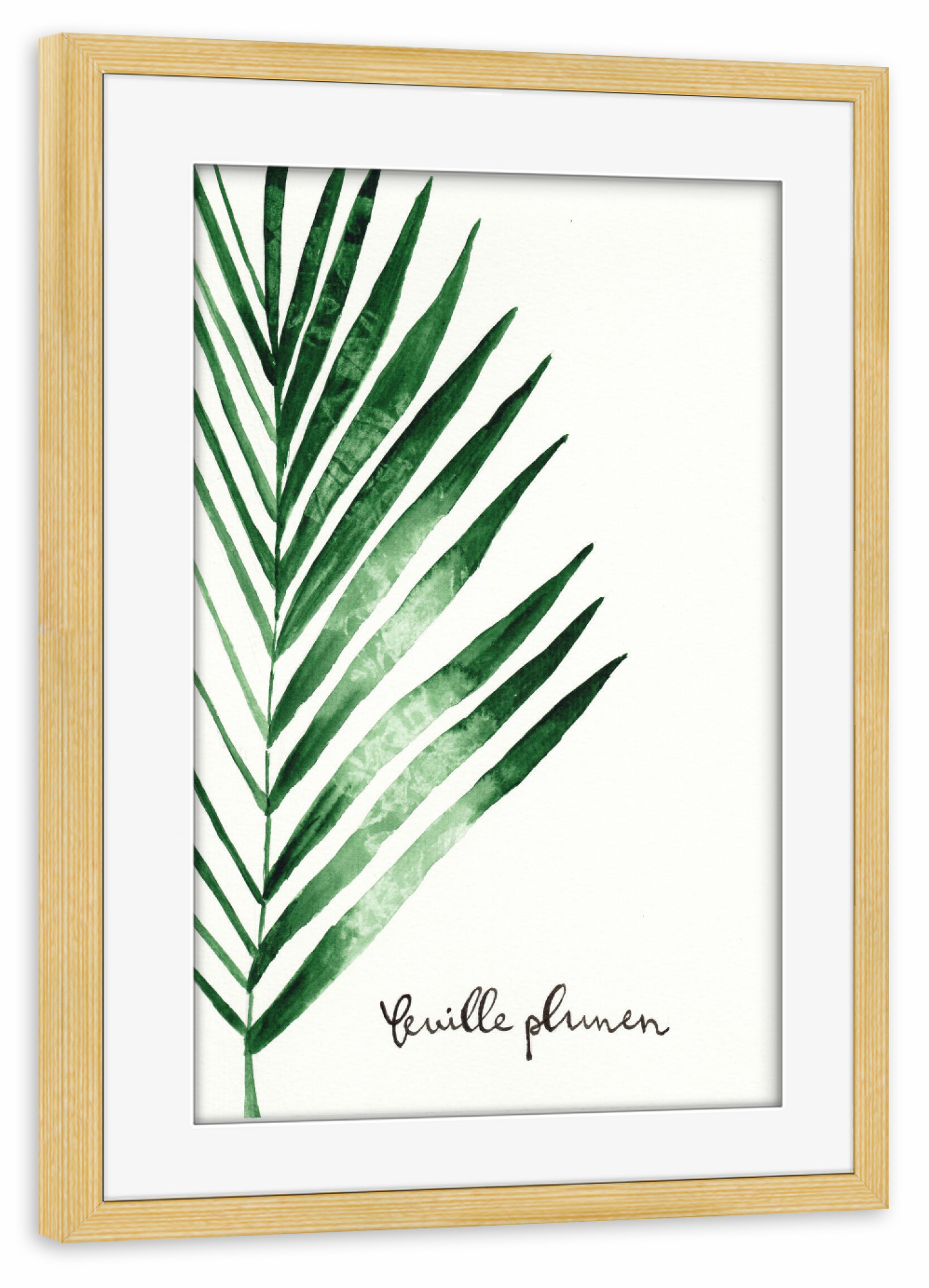 Poster mit Rahmen kiefer "Feuille de palmier - Palmwedel" artboxONE - Natur,Floral