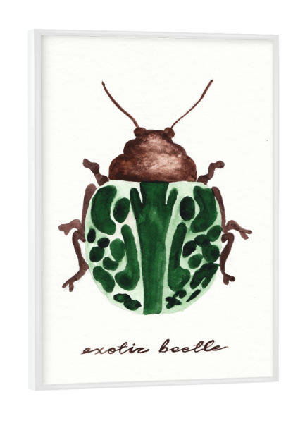 Poster mit weißem Rahmen "The exotic beetle" artboxONE - Typografie,Natur