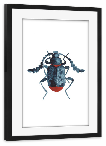 Poster mit Rahmen schwarz "The blue beetle" artboxONE - Natur,Tiere