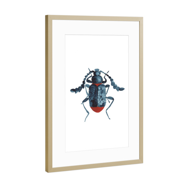 Poster mit Rahmen Gold "The blue beetle" artboxONE - Natur,Tiere