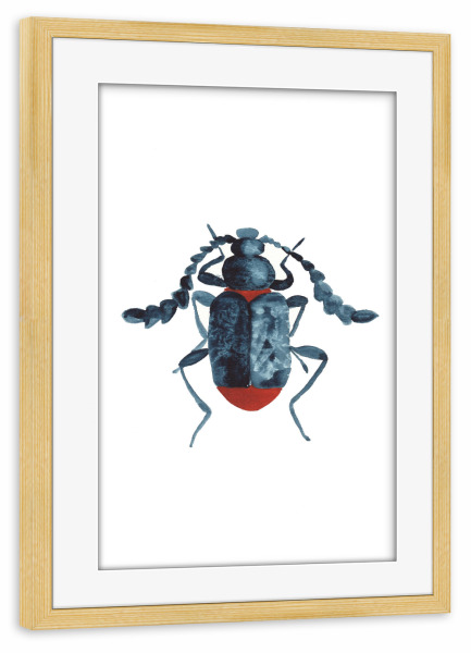 Poster mit Rahmen kiefer "The blue beetle" artboxONE - Natur,Tiere