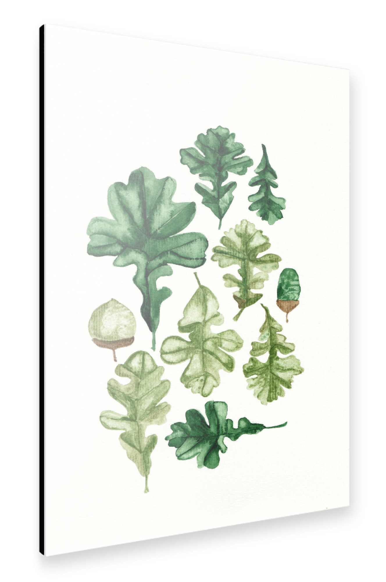 Alu-Dibond "All green leaves" 30x20 cm artboxONE