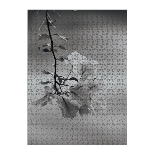 Puzzle Ravensburger "Bougainvillea Blüte schwarzweiss" artboxONE - Natur,Floral,Schwarzweiß,Reise / Afrika