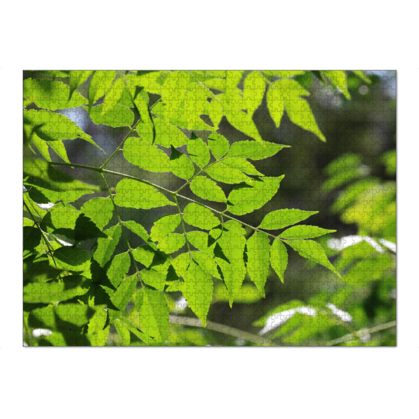 Puzzle Ravensburger "Grüne Blätter im Gegenlicht" artboxONE - Natur,Floral,Reise / Afrika