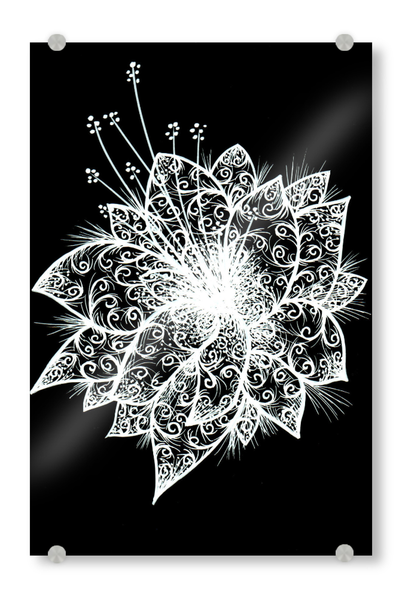 Acrylglasbild "Orchid Lineart white on black" artboxONE - Floral,Schwarzweiß