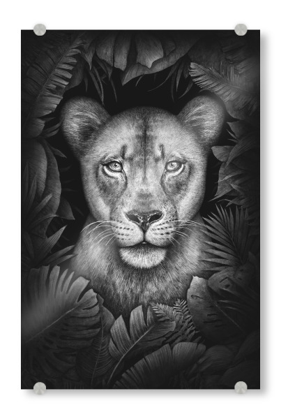 Acrylglasbild "Lioness in tropical leaves" artboxONE - Natur,Floral,Tiere,Schwarzweiß
