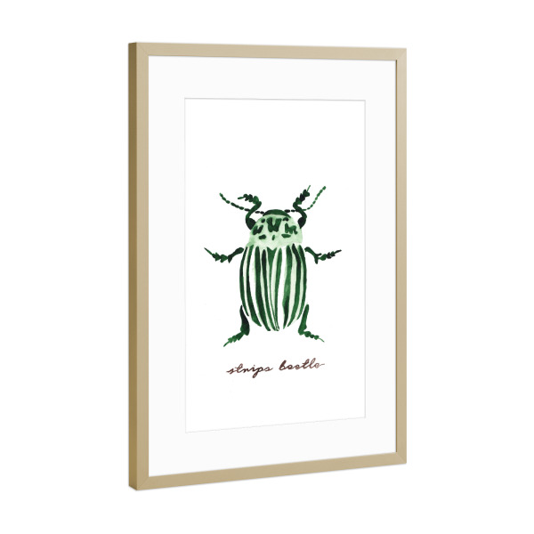 Poster mit Rahmen Gold "The little strips beetle" artboxONE - Natur,Tiere
