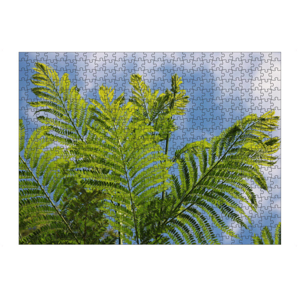 Puzzle Ravensburger "Farn in Afrika" artboxONE - Natur,Floral,Reise / Afrika