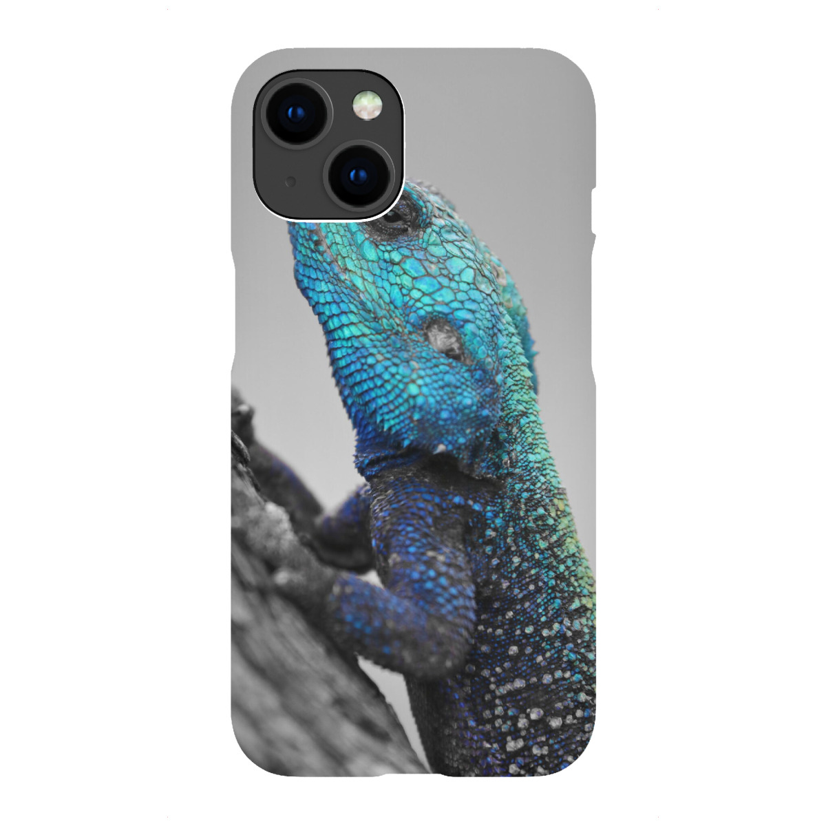 iPhone "Blaukopf Lizard CK" Premium-Case Handyhülle artboxONE