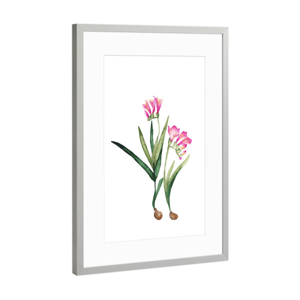 Poster mit Rahmen Silber "De frésia et de rose" artboxONE - Natur,Floral