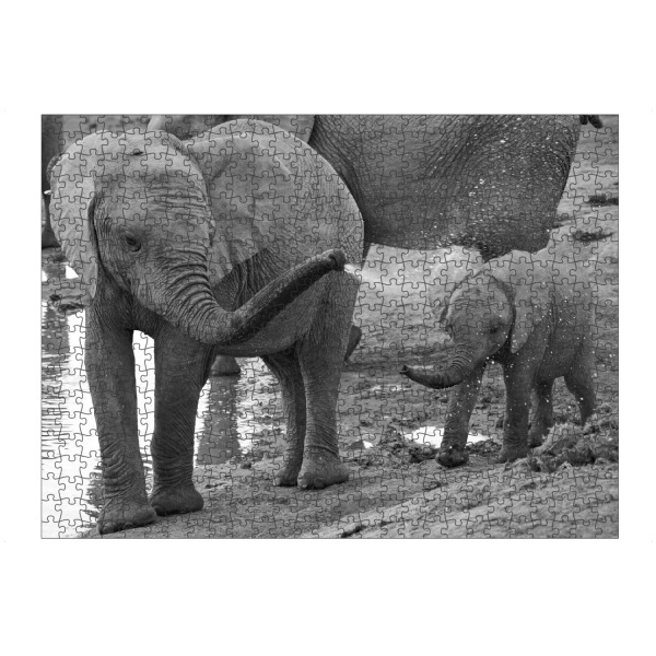 Puzzle Ravensburger "Elefanten Dusche" artboxONE - Natur,Tiere,Schwarzweiß,Reise / Afrika
