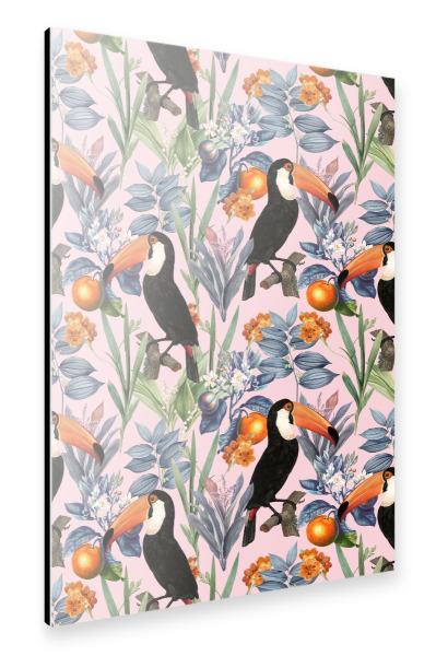 Alu-Dibond "Tucan Garden" 30x20 cm artboxONE