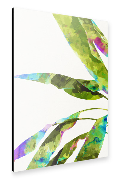 Alu-Dibond "Banana Leaves Holi" 30x20 cm artboxONE