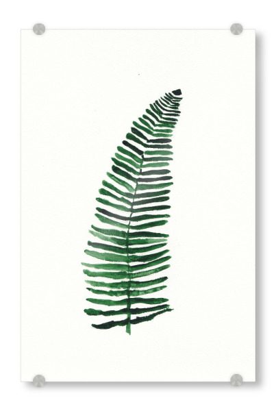 Acrylglasbild "Petits palmiers" artboxONE - Natur