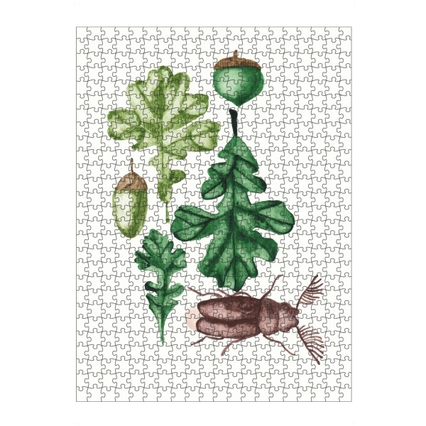 artboxONE Puzzle "The acorn" artboxONE - Natur
