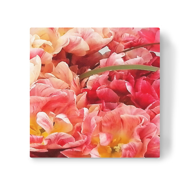 Leinwandbild "Papageientulpen" artboxONE - Natur,Floral - Blumen,Botanik,Tulpen,Papageientulpen,Flowers,Blüten,Nature,Natur,Closeup,Floral