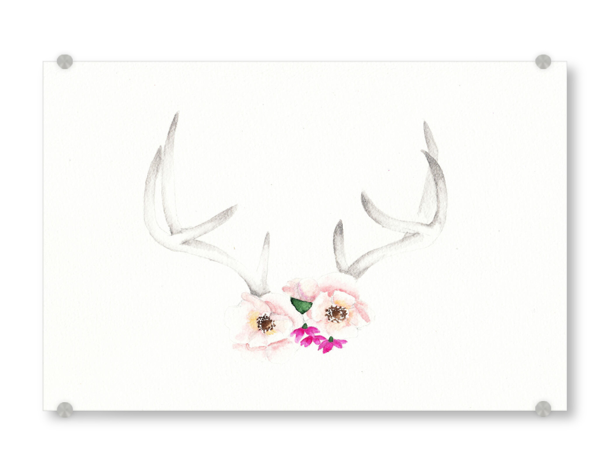 Acrylglasbild "Wild summer antler" artboxONE - Natur,Floral,Tiere