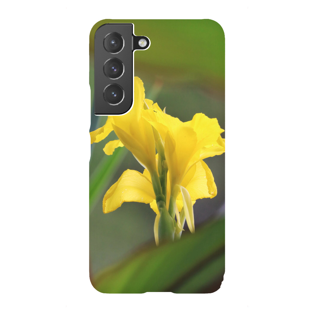 Samsung Galaxy "Gelbe Lilie color" Premium-Case Handyhülle artboxONE