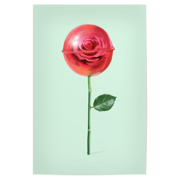 Poster "ROSE LOLLIPOP" artboxONE - Floral,Essen & Trinken,Liebe