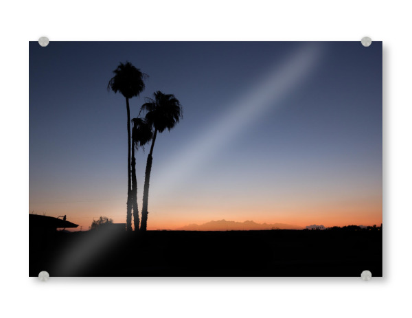 Acrylglasbild "Palmen beim Sonnenuntergang" artboxONE - Natur,Reise,Reise / Länder