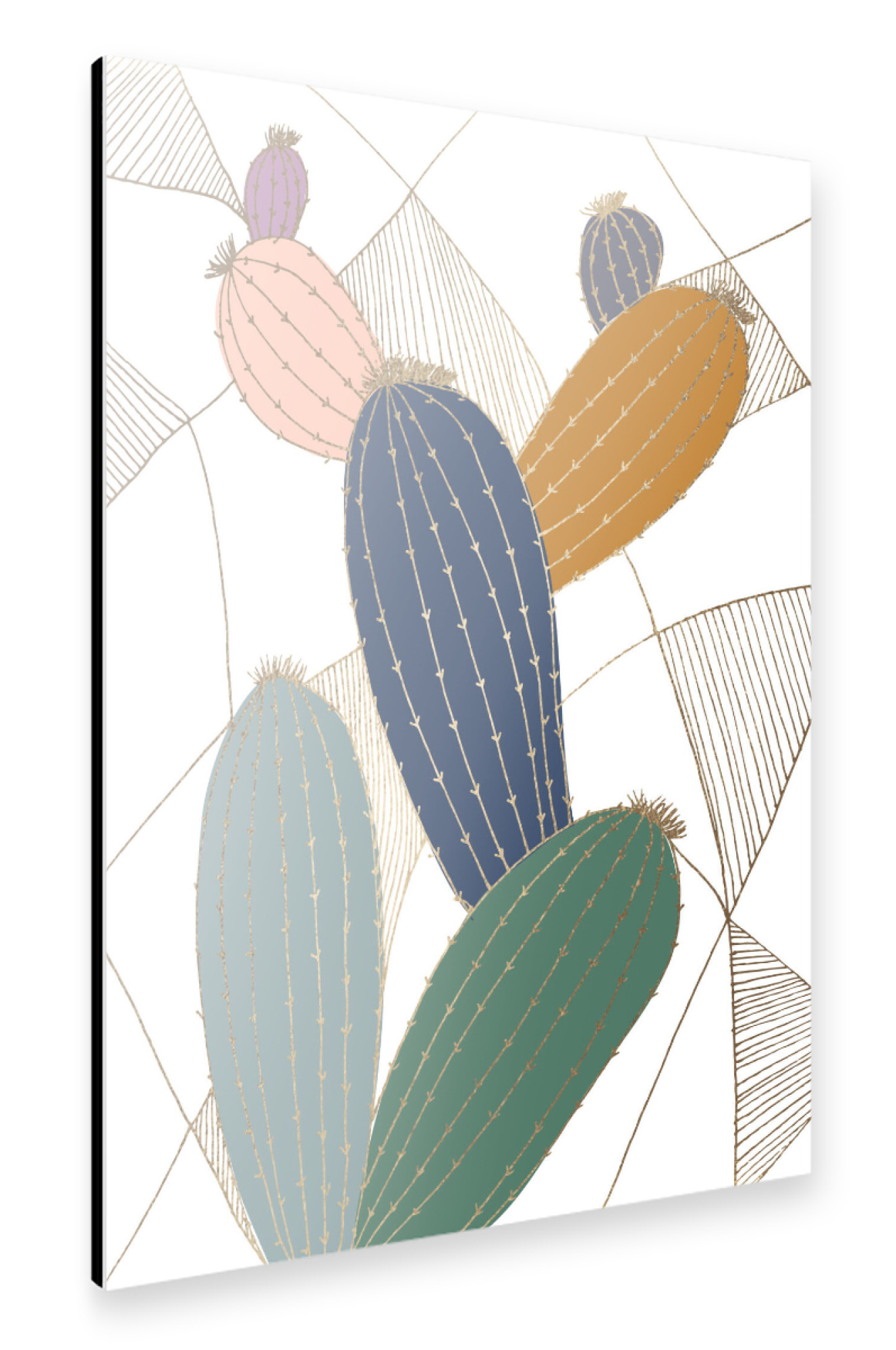 Alu-Dibond "Shiny Cactus" 75x50 cm artboxONE