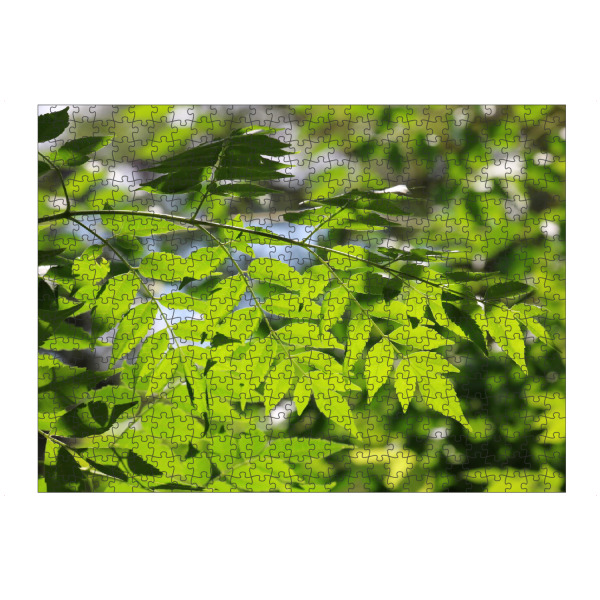 artboxONE Puzzle "Grüne Natur" artboxONE - Natur,Floral,Reise / Afrika - Blätter,Gegenlicht,Pflanze,Muster,Dekor,Leaves,Closeup,Nature,Natur