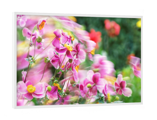 Poster mit weißem Rahmen "Vom Wind bewegtes Blütenmeer" artboxONE - Natur,Floral,Abstrakt