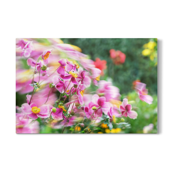 Galerie-Print "Vom Wind bewegtes Blütenmeer" 30x20 cm artboxONE