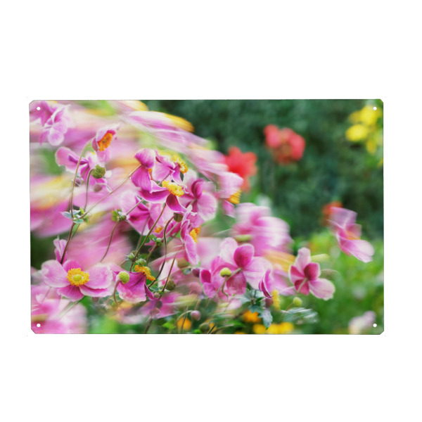 Metall Poster "Vom Wind bewegtes Blütenmeer" artboxONE - Natur,Floral,Abstrakt