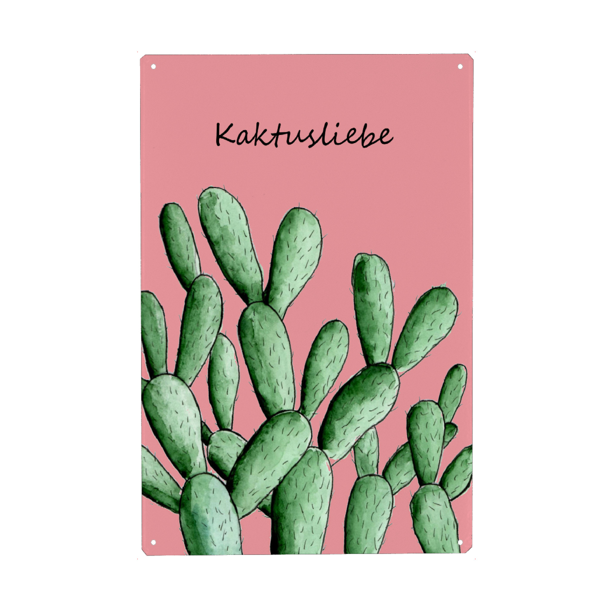 Metall Poster "Kaktusliebe" artboxONE - Natur,Floral - Kaktus,Kakteen,Kaktusliebe,Aquarell,Blüte,Floral,Cactus,Typo - Blechschild