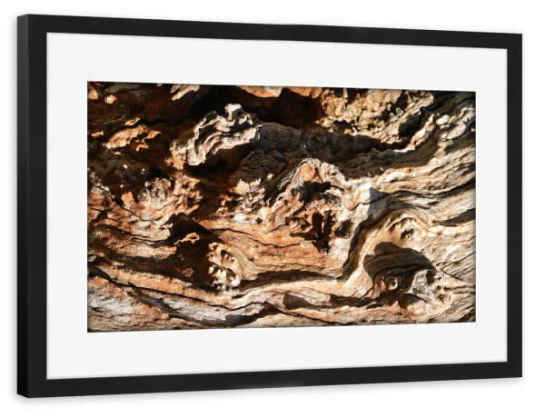 Poster mit Rahmen schwarz "Baumholzrinde" artboxONE - Natur,Abstrakt