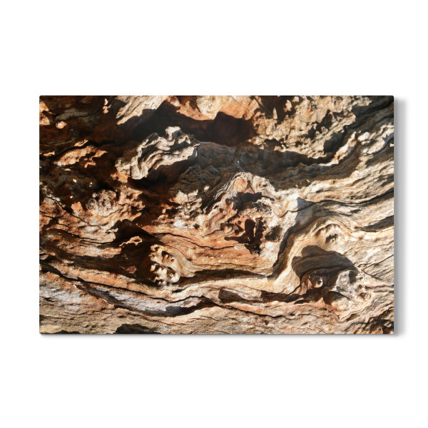 Galerie-Print "Baumholzrinde" 30x20 cm artboxONE