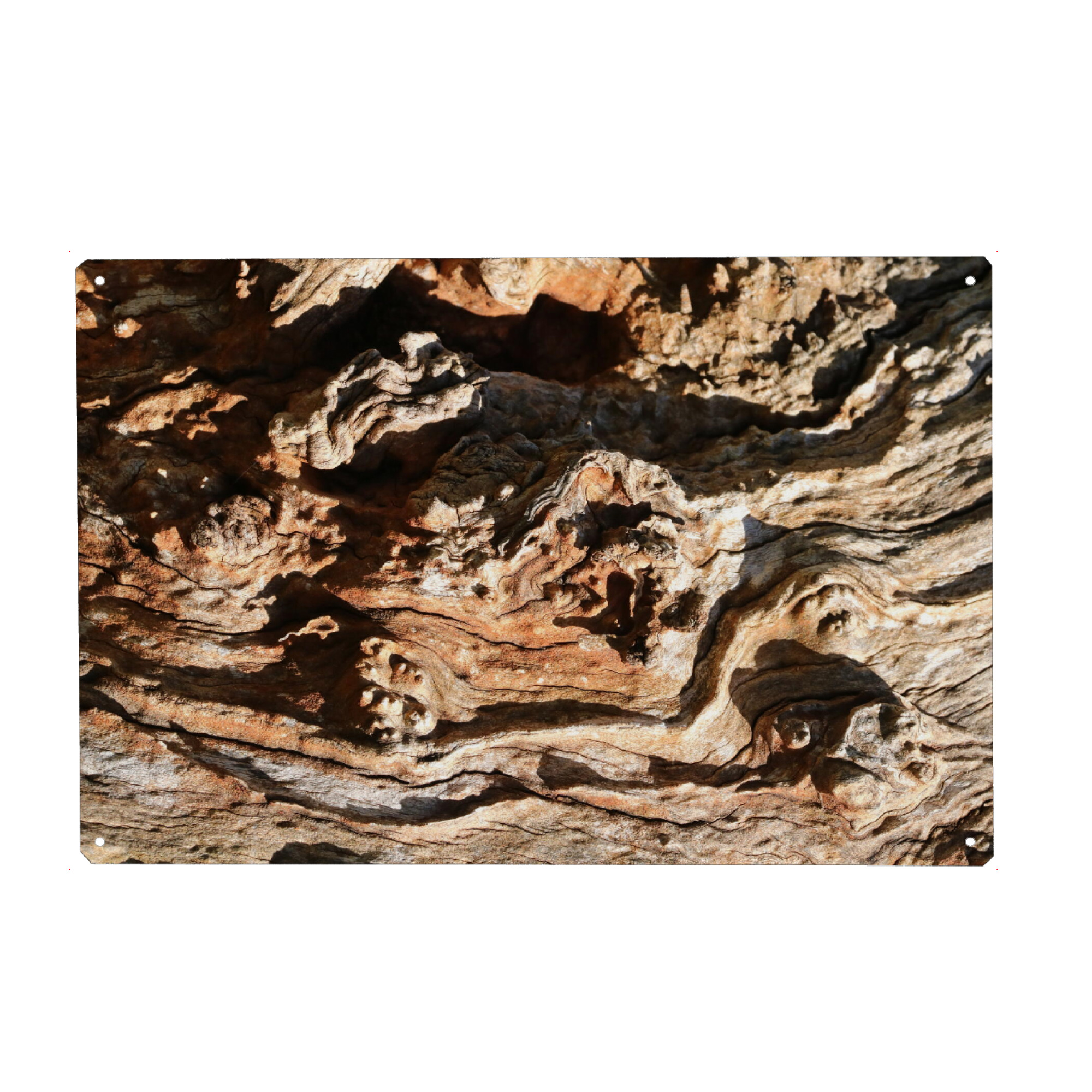 Holzbild "Baumholzrinde" artboxONE - Natur,Abstrakt - Baumrinde,Holz,Rinde,Muster,Closeup,Tree,Abstract,Abstrakt,Wood,Bark,Nature,Natur,Forest