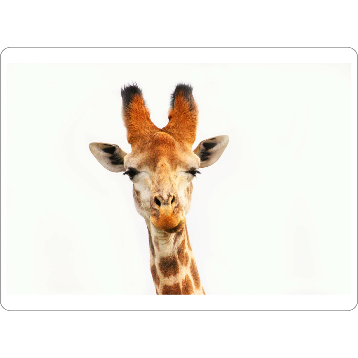 Tischset "Giraffenblick" artboxONE - Natur,Tiere,Reise / Afrika,Lustig