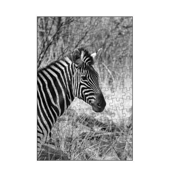 artboxONE Puzzle "Burchel Zebra in Afrika" artboxONE - Natur,Tiere,Schwarzweiß,Reise / Afrika