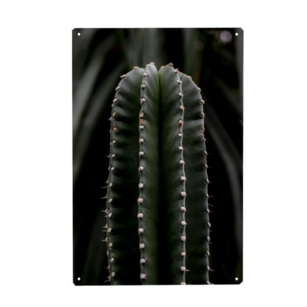 Holzbild "Dark Green Cactus" artboxONE - Natur,Floral - Cactus,Botanischer garten,Botanical,Pflanze,Flower,Cacteen,Kakteen,Kaktus,Floral
