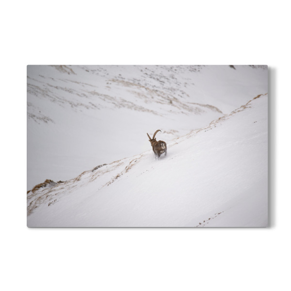 Galerie-Print "The Get-Away" 30x20 cm artboxONE