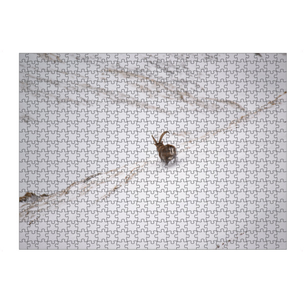 artboxONE Puzzle "The Get-Away" artboxONE - Natur,Tiere