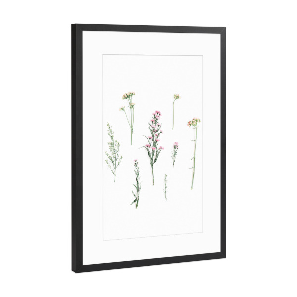 Poster mit Rahmen Schwarz (Metallic) "Wild field flowers" artboxONE - Natur,Floral