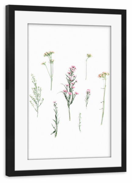 Poster mit Rahmen schwarz "Wild field flowers" artboxONE - Natur,Floral