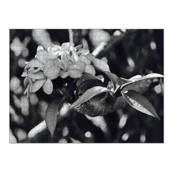 Puzzle Ravensburger "Natur Blume" artboxONE - Natur,Floral,Schwarzweiß,Reise / Afrika