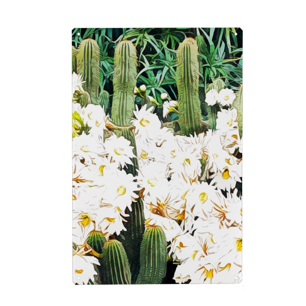 Holzbild "Cactus & Bloom" artboxONE - Natur,Floral