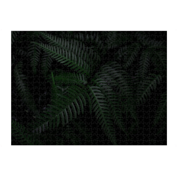 Puzzle Ravensburger "Farn grün" artboxONE - Natur,Floral