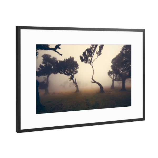 Poster mit Rahmen Schwarz (Metallic) "Fog days forest" artboxONE - Natur