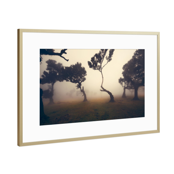 Poster mit Rahmen Gold "Fog days forest" artboxONE - Natur