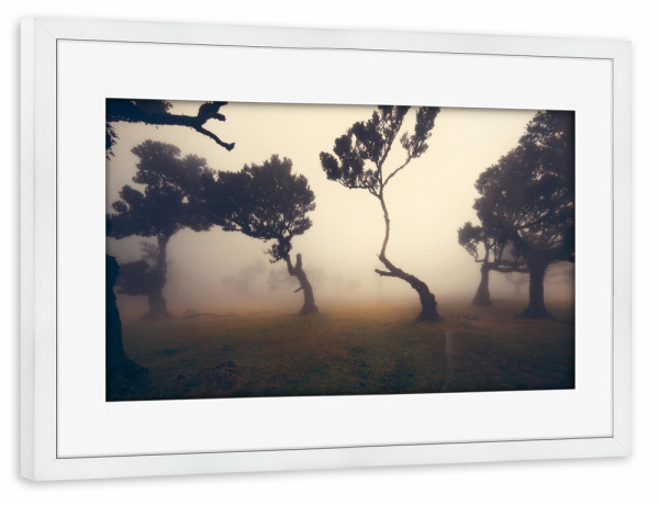 Poster mit Rahmen weiß "Fog days forest" artboxONE - Natur